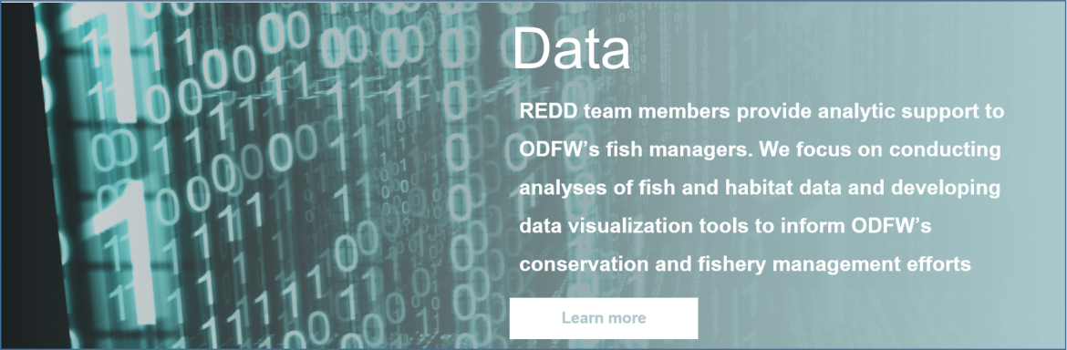 Data: REDD team members provide analytic support to ODFW's fish manager. We focus on conducting analyses of fish and habitat data and developing data visualization tools to inform ODFW's conservation and fishery management efforts. Click to learn more.