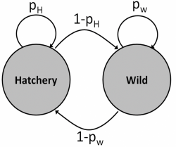 Hatchery-Wild Model